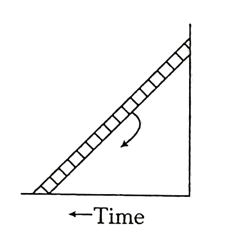 A ladder is leaned against a smooth wall and it i allowed to slip down on a frictionless floor. Which figure represents trace of its centre of mass ?