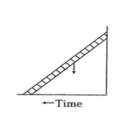 A ladder is leaned against a smooth wall and it i allowed to slip down on a frictionless floor. Which figure represents trace of its centre of mass ?