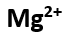 The atom/ion that has the highest number of unpaired electrons is