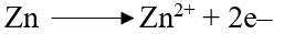 Which of the following reactions occur at the cathode?