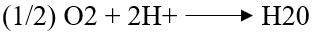 Which of the following reaction is possible at anode?