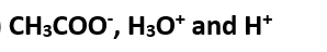 Aqueous solution of acetic acid contains