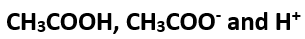 Aqueous solution of acetic acid contains