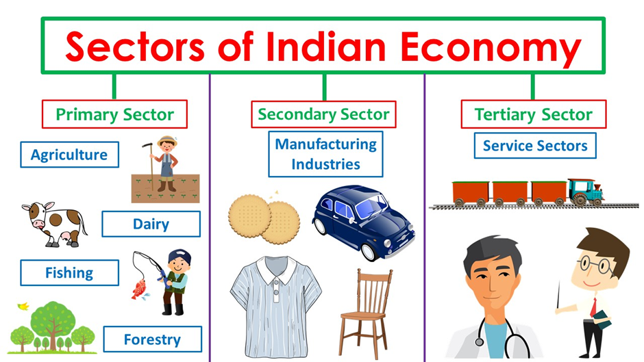 SECTORS OF INDIAN ECONOMY
