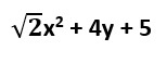 POLYNOMIALS CLASS 9