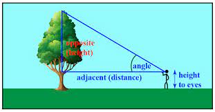 10 ICSE Quiz on Height and Distance