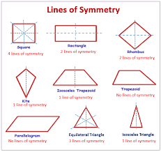 8 ICSE Quiz on Symmetry