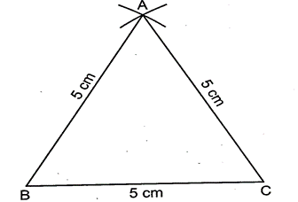 CONSTRUCTIONS CLASS 9