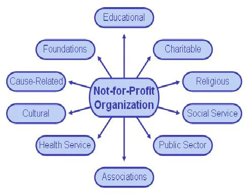 Accounting for non profit organization