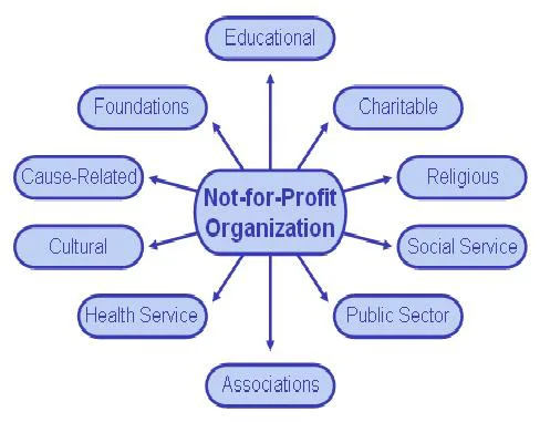  Accounting for non profit organization 