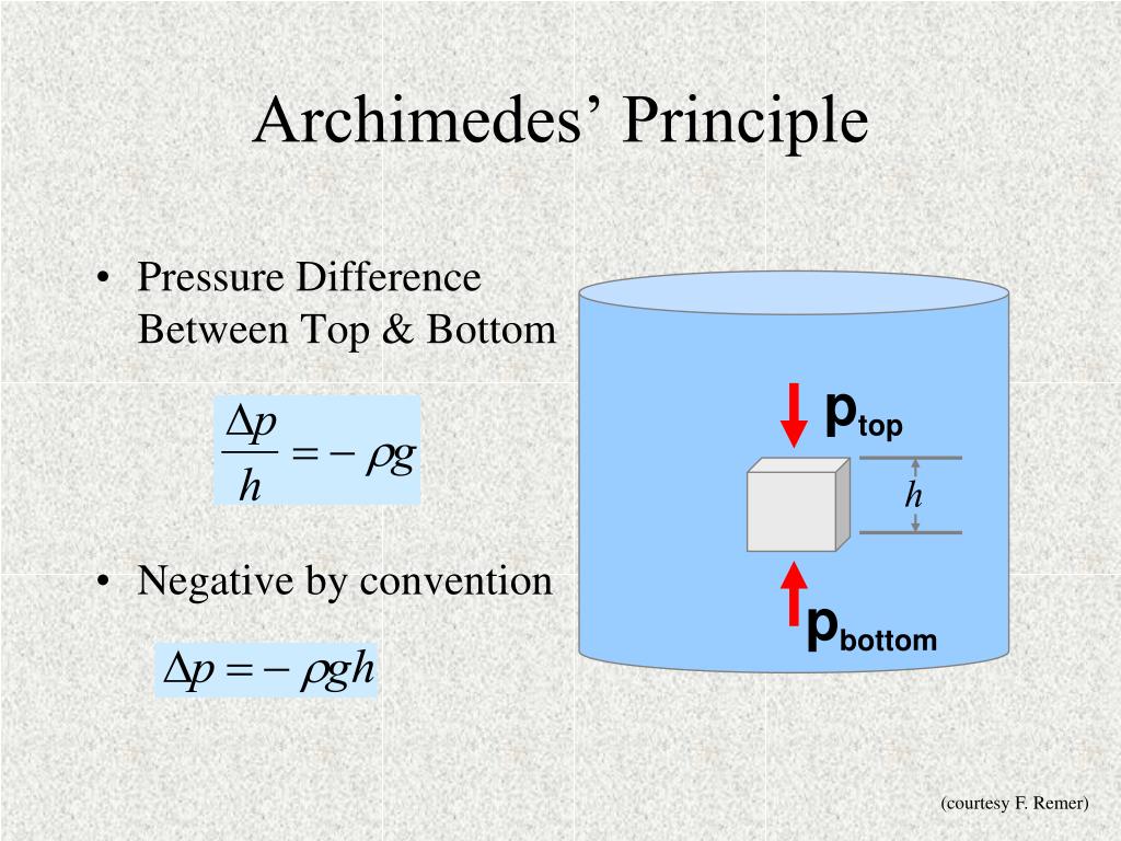 What Is A Principle In Business