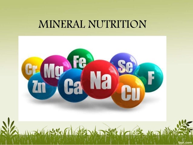 Mineral Nutrition in plants